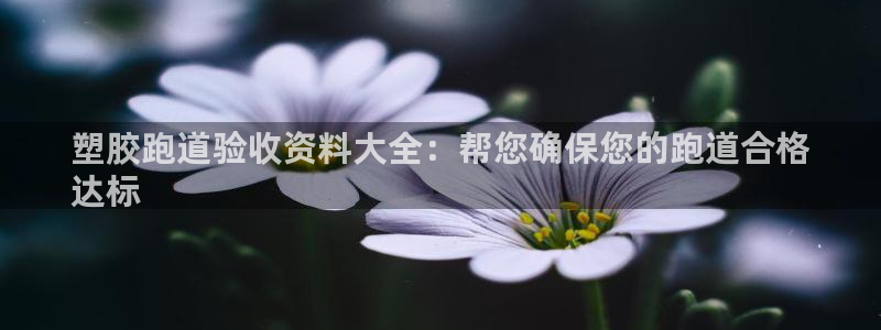 尊龙新版登录网址下载：塑胶跑道验收资料大全：帮您确保您的跑道合格
达标