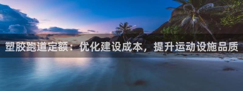 尊龙新版app：塑胶跑道定额：优化建设成本，提升运动设施品质