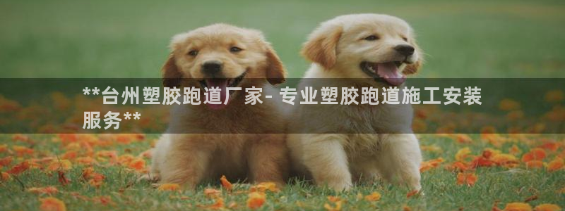 凯时官网