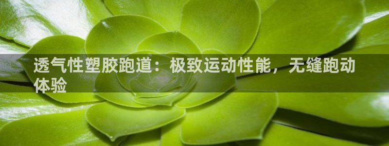 尊龙d88平台：透气性塑胶跑道：极致运动性能，无缝跑动
体验
