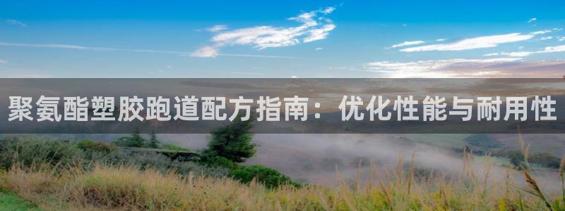 尊龙休闲e站怎么样：聚氨酯塑胶跑道配方指南：优化性能与耐用性