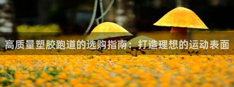 凯时官网手机版下载：高质量塑胶跑道的选购指南：打造理