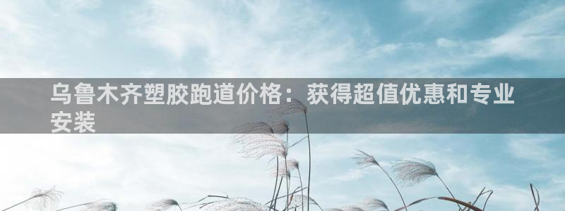 尊龙官方网站最新版V9.3.06介绍：乌鲁木齐塑胶跑道价格：获得超值优惠和专业
安装