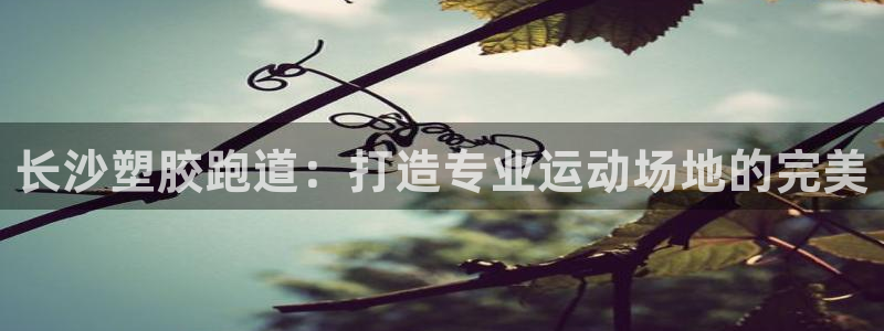 凯时官网联系方式