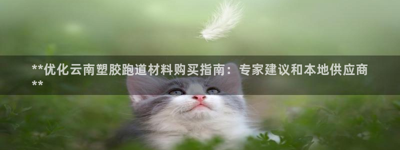 尊龙凯时赞助：**优化云南塑胶跑道材料购买指南：专家建议和本地供应商
**