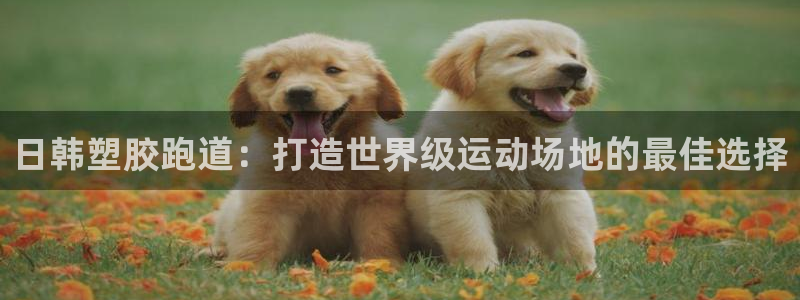 尊龙凯时能不能提现?：日韩塑胶跑道：打造世界级运动场地的最佳选择