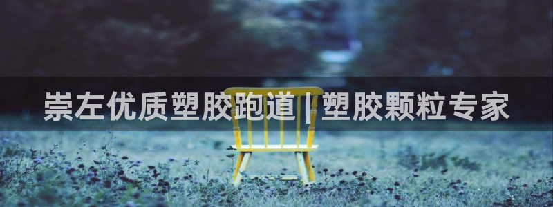 尊龙网站登录：崇左优质塑胶跑道 | 塑胶颗粒专家