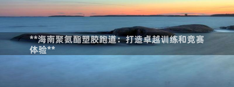 尊龙网站登录：**海南聚氨酯塑胶跑道：打造卓越训练和竞赛
体