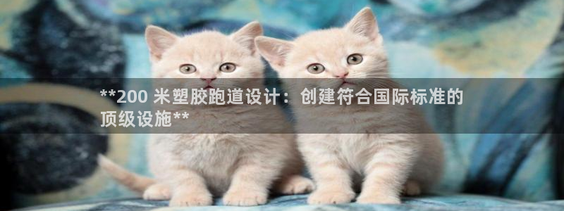 尊龙凯时-人生就是博中国官网首页：**200 米塑胶跑道设计