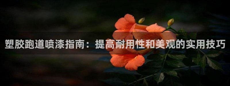 尊龙公司