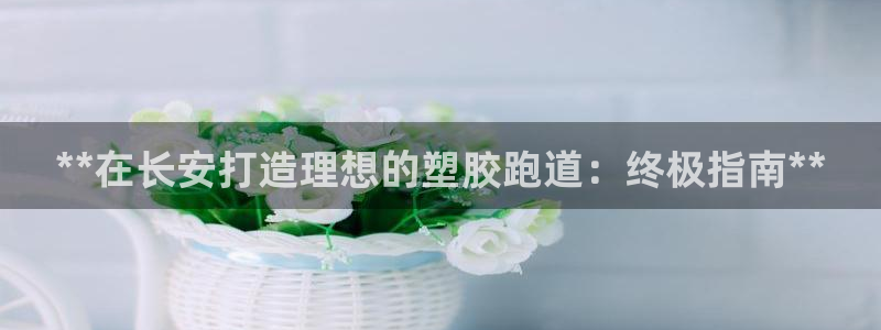 d88尊龙手机客户端下载：**在长安打造理想的塑胶跑道：终极指南**