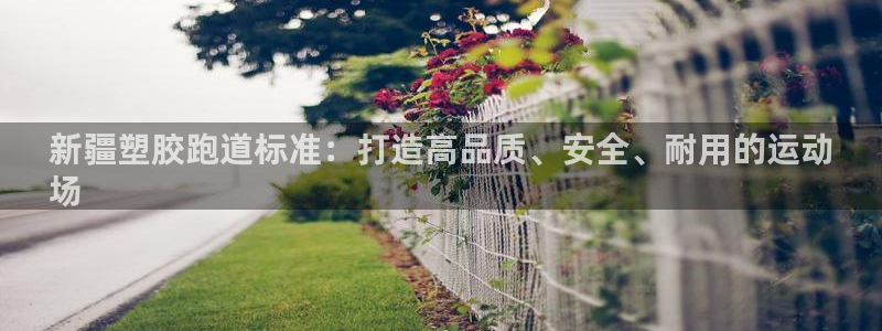 尊龙人生就是博网站下载：新疆塑胶跑道标准：打造高品质