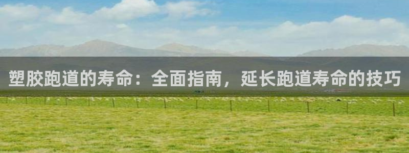尊龙凯时·中国官方网站：塑胶跑道的寿命：全面指南，延长跑道寿命的技巧