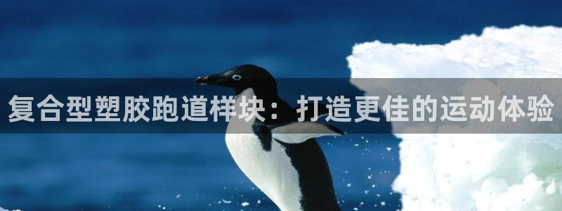 凯时ag旗舰厅登录：复合型塑胶跑道样块：打造更佳的运动体验