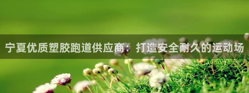 尊龙人生就是博中国区：宁夏优质塑胶跑道供应商：打造安