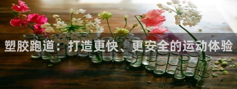 怎样能成为尊龙凯时平台的会员：塑胶跑道：打造更快、更安全的运动体验