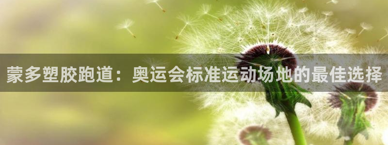 凯时登录界面：蒙多塑胶跑道：奥运会标准运动场地的最佳