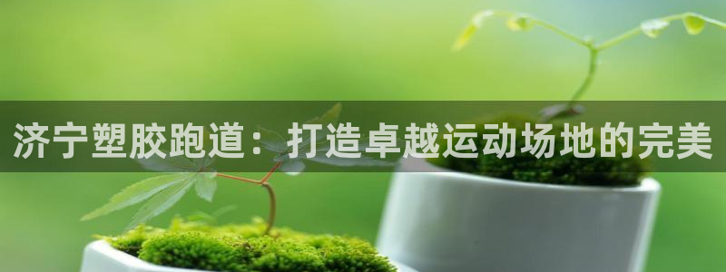 尊龙官网入口：济宁塑胶跑道：打造卓越运动场地的完美