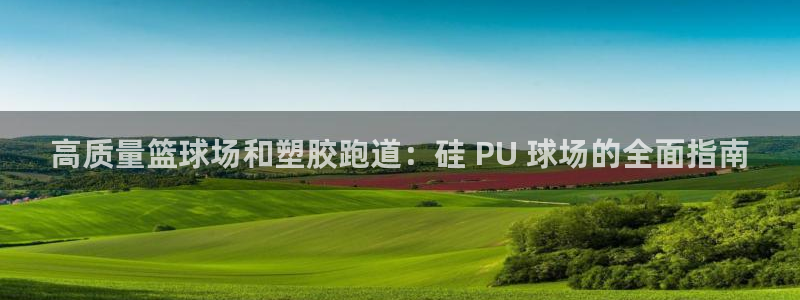 z6com尊龙凯时百家乐：高质量篮球场和塑胶跑道：硅