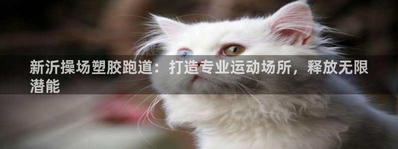 尊龙凯时不朽情缘：新沂操场塑胶跑道：打造专业运动场所