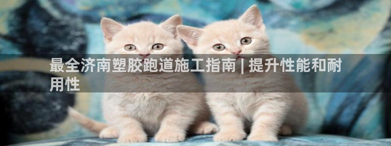 尊龙凯时防屏蔽网址：最全济南塑胶跑道施工指南 | 提