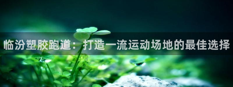 尊龙官方网站最新版V9.3.06：临汾塑胶跑道：打造