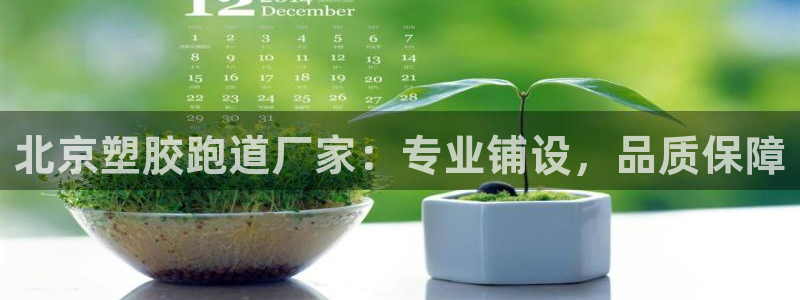 尊龙官网手机版下载：北京塑胶跑道厂家：专业铺设，品质保障