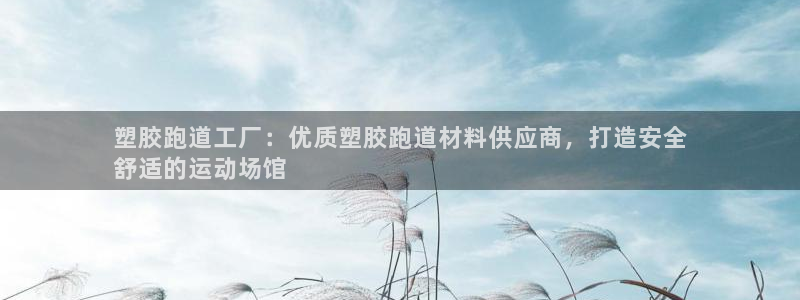 尊龙凯时泰安：塑胶跑道工厂：优质塑胶跑道材料供应商，