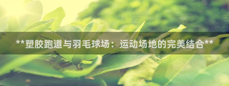 尊龙人生就是博AG旗舰厅：**塑胶跑道与羽毛球场：运