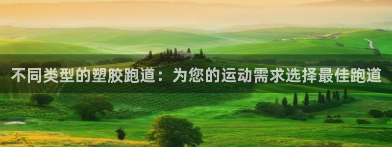 尊龙官网注册：不同类型的塑胶跑道：为您的运动需求选择