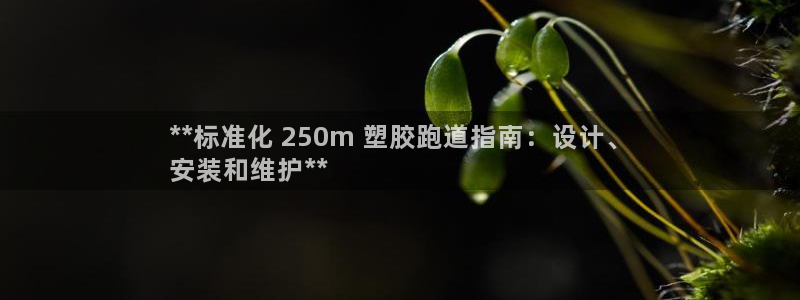尊龙人生就是博i可靠吗：**标准化 250m 塑胶跑