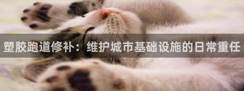 尊龙人生就是博中国区
