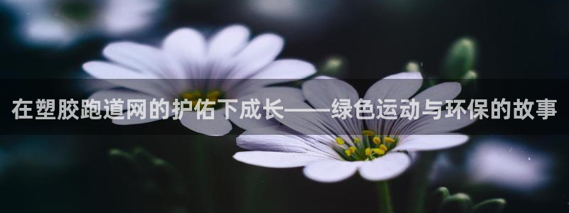 尊龙AG旗舰厅官网
