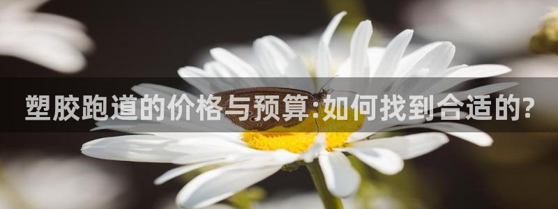 尊龙官方网站是真的吗