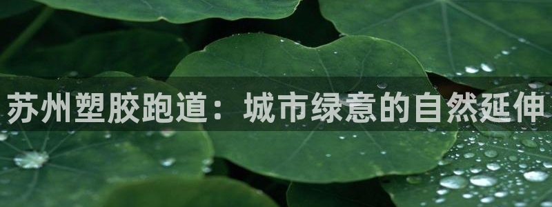 凯时旗舰厅App下载