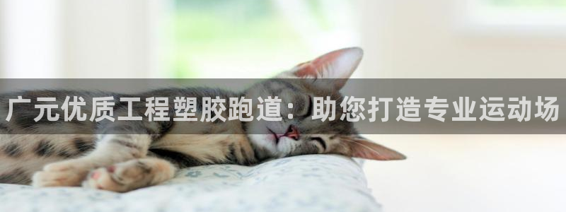 尊龙目前情况
